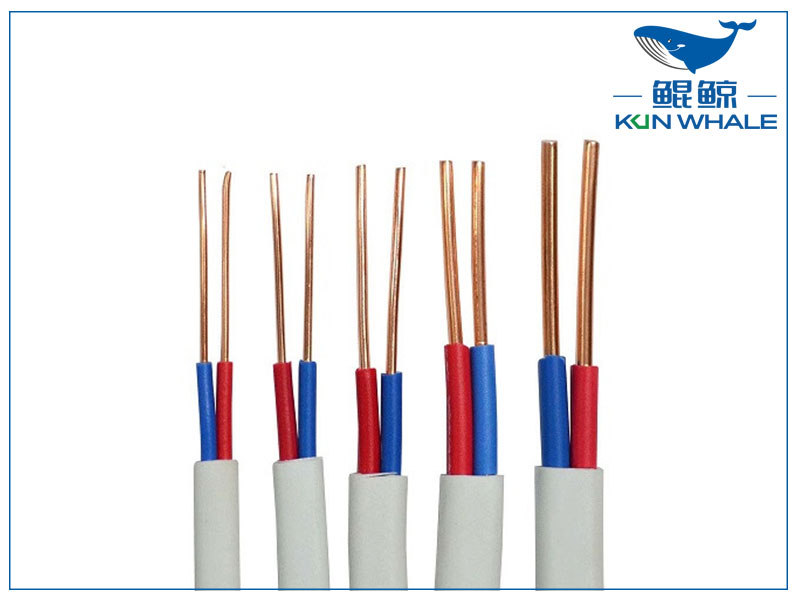 河南太平洋線纜帶你了解什么是<i style='color:red'>bvvb</i>電線？